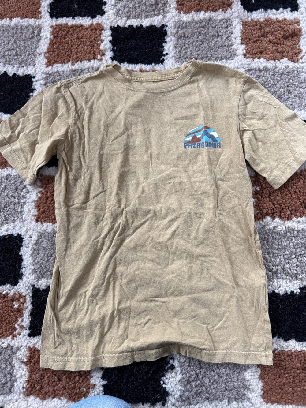 Patagonia tan tee with blue and brown logo